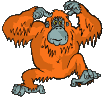 scimmia arancione.gif